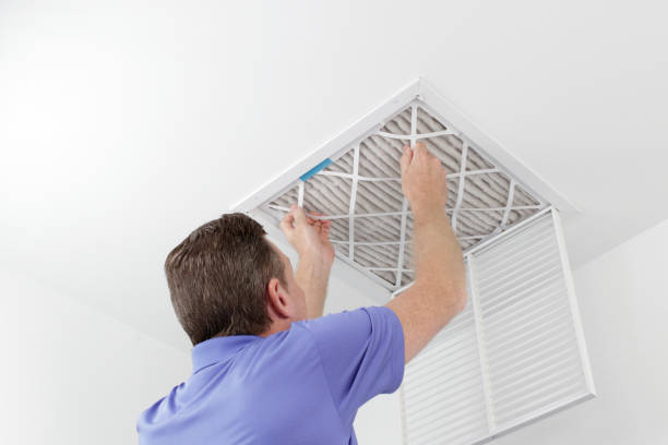 Best Mold and Mildew Removal from Ducts in Ellenville, NY